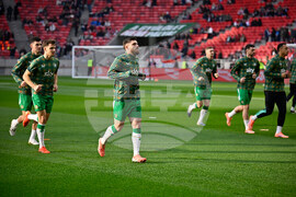 Hungary Ireland WCup Soccer