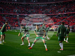 Hungary Ireland WCup Soccer