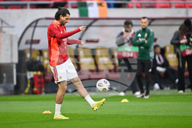 Hungary Ireland WCup Soccer