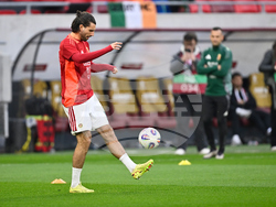 Hungary Ireland WCup Soccer