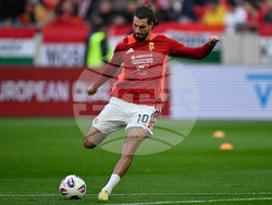 Hungary Ireland WCup Soccer