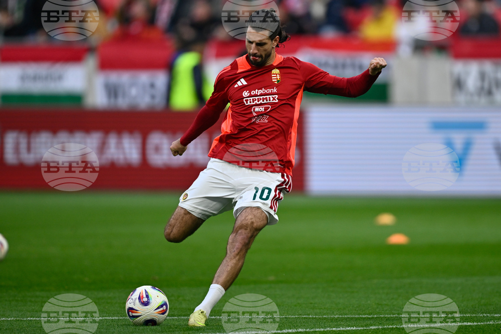 Hungary Ireland WCup Soccer