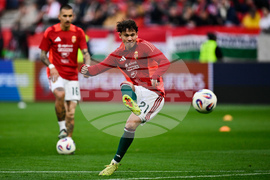 Hungary Ireland WCup Soccer