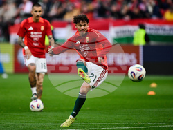 Hungary Ireland WCup Soccer