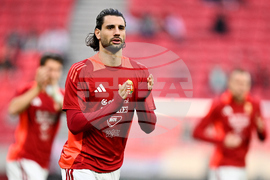 Hungary Ireland WCup Soccer