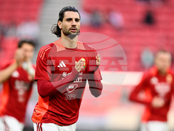 Hungary Ireland WCup Soccer