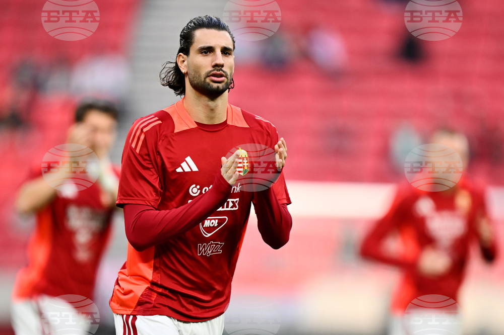 Hungary Ireland WCup Soccer