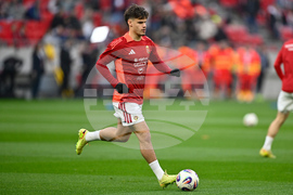 Hungary Ireland WCup Soccer