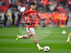 Hungary Ireland WCup Soccer