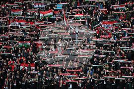 Hungary Ireland WCup Soccer