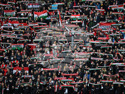 Hungary Ireland WCup Soccer