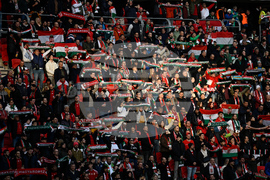 Hungary Ireland WCup Soccer