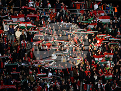 Hungary Ireland WCup Soccer