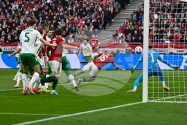 Hungary Ireland WCup Soccer