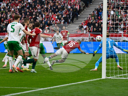 Hungary Ireland WCup Soccer