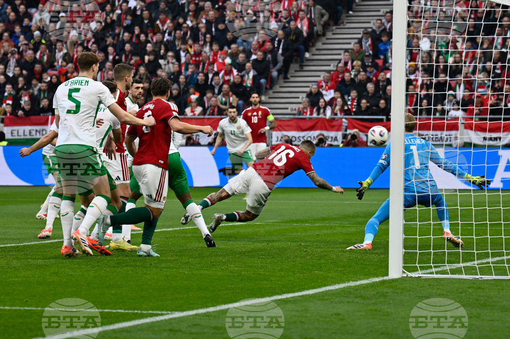 Hungary Ireland WCup Soccer