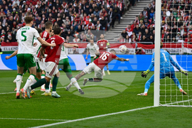 Hungary Ireland WCup Soccer