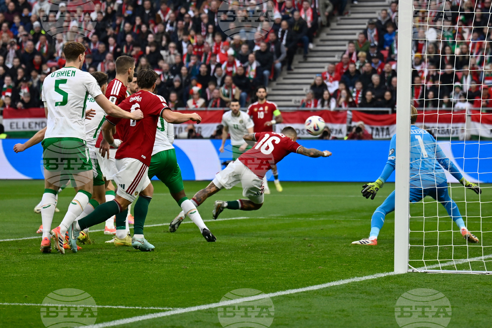 Hungary Ireland WCup Soccer