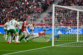 Hungary Ireland WCup Soccer