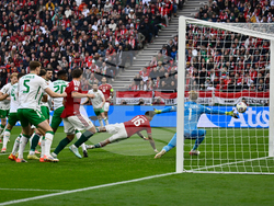 Hungary Ireland WCup Soccer