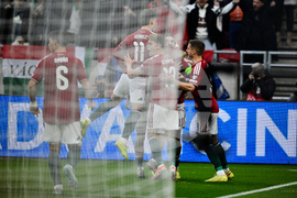 Hungary Ireland WCup Soccer