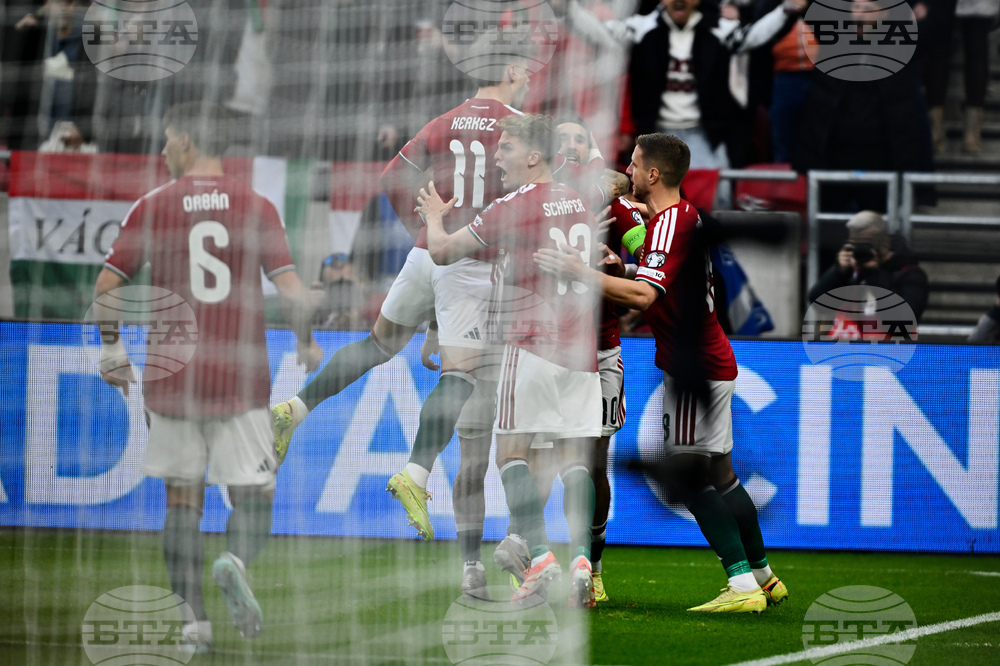 Hungary Ireland WCup Soccer