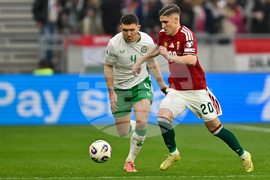 Hungary Ireland WCup Soccer