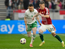 Hungary Ireland WCup Soccer