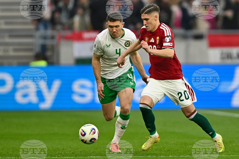 Hungary Ireland WCup Soccer