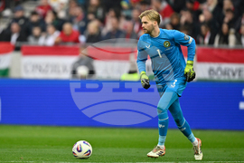 Hungary Ireland WCup Soccer