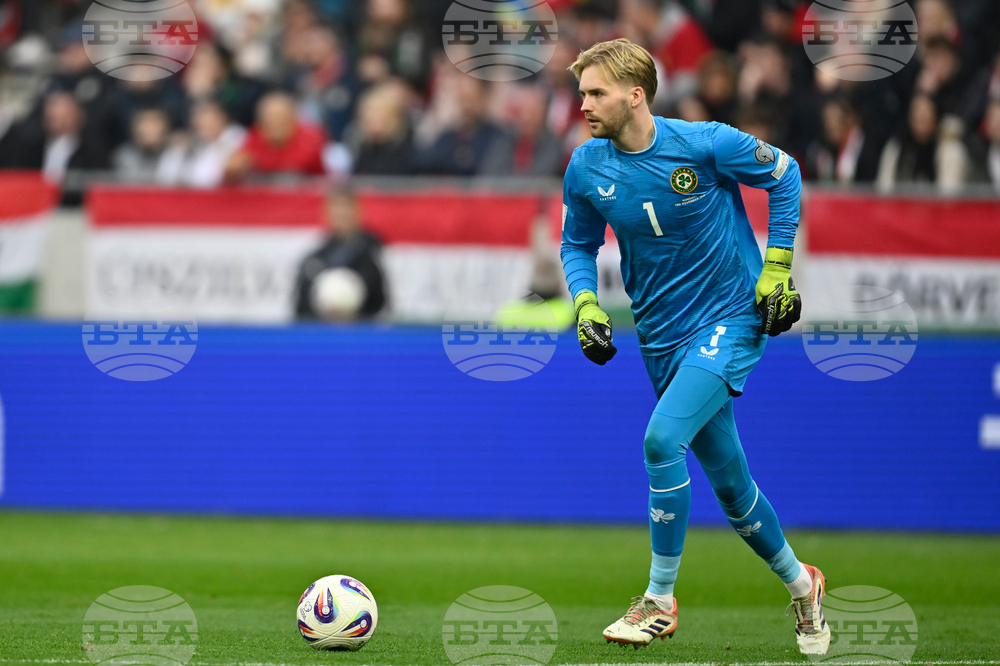 Hungary Ireland WCup Soccer