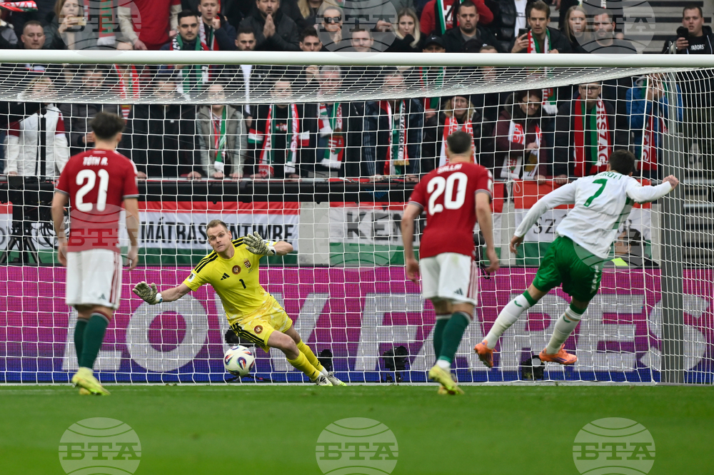 Hungary Ireland WCup Soccer