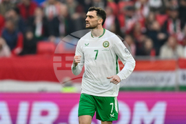 Hungary Ireland WCup Soccer