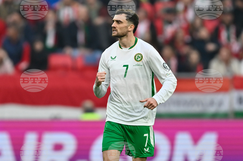 Hungary Ireland WCup Soccer