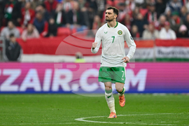 Hungary Ireland WCup Soccer