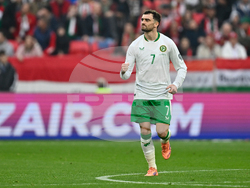 Hungary Ireland WCup Soccer