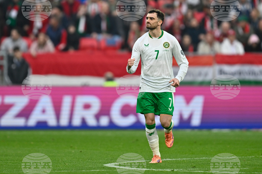 Hungary Ireland WCup Soccer