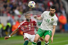 Hungary Ireland WCup Soccer