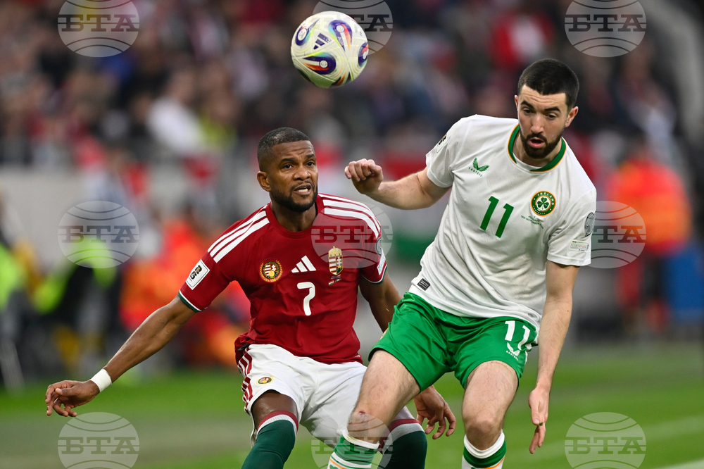 Hungary Ireland WCup Soccer