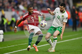 Hungary Ireland WCup Soccer