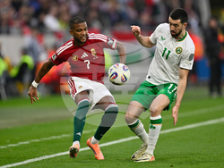 Hungary Ireland WCup Soccer