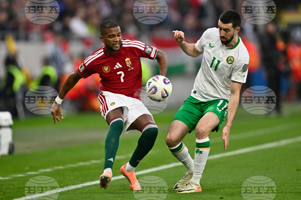 Hungary Ireland WCup Soccer