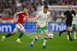 Hungary Ireland WCup Soccer