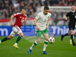 Hungary Ireland WCup Soccer