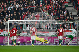 Hungary Ireland WCup Soccer