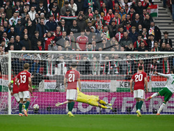 Hungary Ireland WCup Soccer