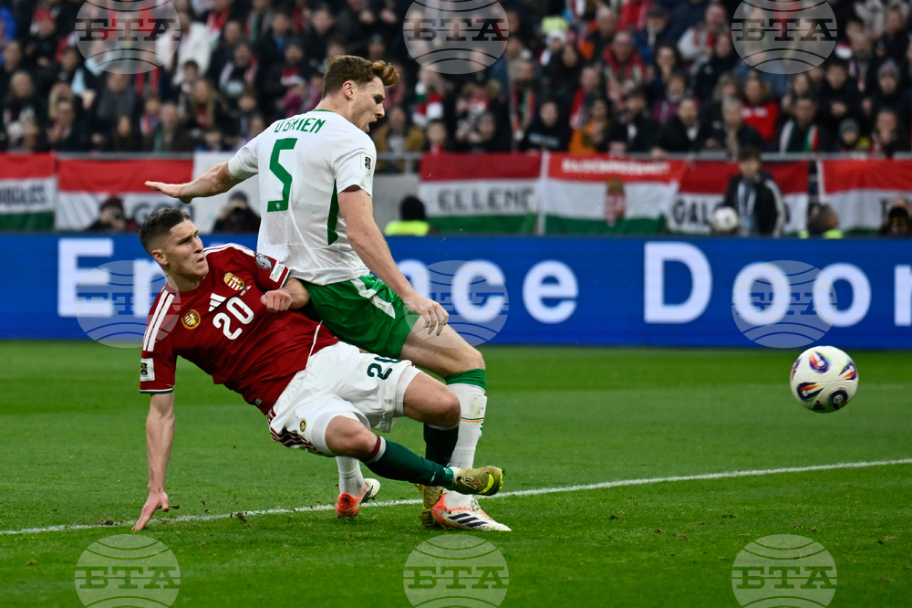 Hungary Ireland WCup Soccer