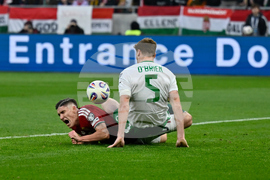 Hungary Ireland WCup Soccer