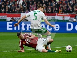 Hungary Ireland WCup Soccer