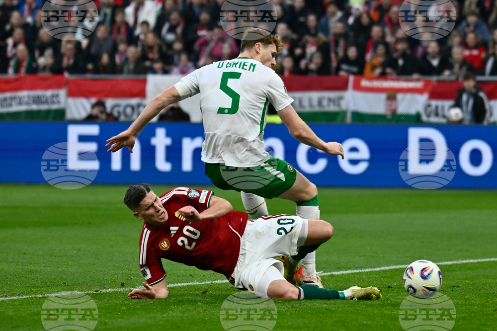 Hungary Ireland WCup Soccer